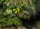 Fuschlsee 2022