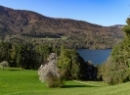 Fuschlsee 2022