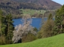 Fuschlsee April 2022