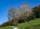 Fuschlsee 2022