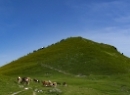 Dürlstein 2022