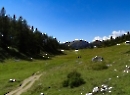 Tauplitz August 2022