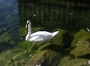 Grundlsee 2022
