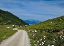 Trattbergalm Juli 2023