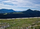 Trattbergalm 2023