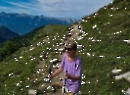 Trattbergalm Juli 2023