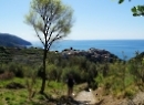 Cinque Terre 2014