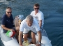 Segeln 2014