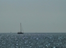 Segeln 2014