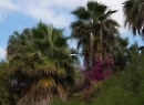 Fuerteventura 2016