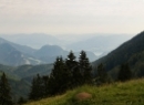 Zwölferhorn 2019