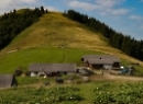 Faistenauer Schafberg 2019