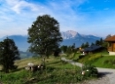 Schlenken 2019