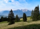 Schlenken 2019