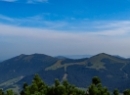 Schlenken 2019