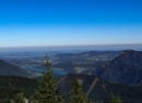 Zwölferhorn 2019
