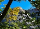 Gosausee 2019