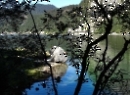Gosausee 2019