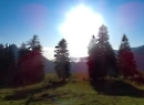 Wieslerhorn 2019