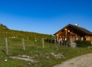 Wieslerhorn 2019