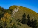 Wieslerhorn 2019
