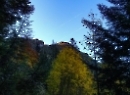 Büchsenalm 2019