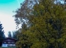 Büchsenalm 2019