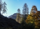 Büchsenalm 2019