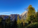Büchsenalm 2019