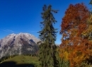 Büchsenalm 2019