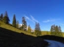 Büchsenalm 2019