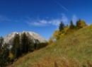 Büchsenalm 2019