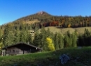 Büchsenalm 2019