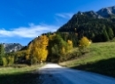 Büchsenalm 2019
