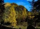 Wirpitschsee 2019