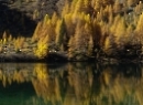 Wirpitschsee 2019