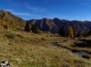 Wirpitschsee 2019