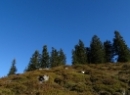 Wieserhörndl 2019