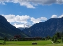 Narzissen Altaussee 2020