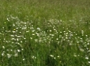 Grundlsee 2021