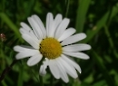 Grundlsee 2021