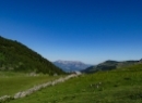 Dürlstein 2021
