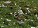 Dürlstein 2021