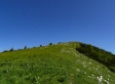 Dürlstein 2021