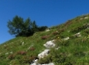 Dürlstein 2021