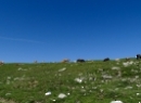 Dürlstein 2021