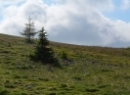 Nockberge 2021