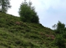 Nockberge 2021